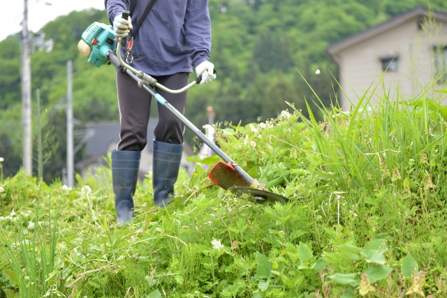 岩見沢市で草刈りに最適な年3回の時期～楽に草刈りを終えるコツまで徹底解説